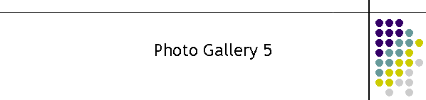 Photo Gallery 5